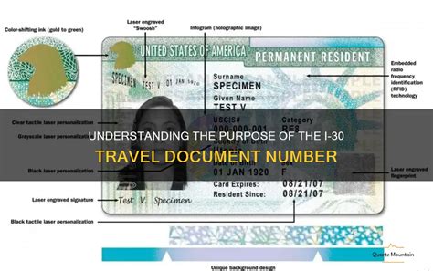 What is Your Travel Document Number (If Any)? And Its Journey Through Life